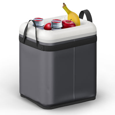 Dometic GO 10L Insulated Insert – Portable Soft Cooler - Poptop World