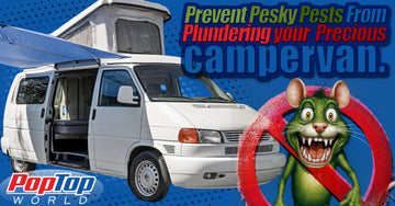 Reviving Your Eurovan: Rodent Mitigation, Bodywork, and Upgrades for a Road-Trip Ready Van