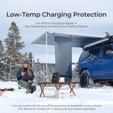 Renogy Rover Li 40Amp MPPT Solar Charge Controller W/BT-1 Bluetooth Module RS232 - Poptop World 