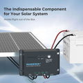 Renogy Wanderer Li 30A 12V PWM Negative Ground Solar Charge Controller - Poptop World 