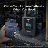 Renogy Rover Li 20Amp MPPT Solar Charge Controller W/ BT-1 Bluetooth Module RJ12 - Poptop World 