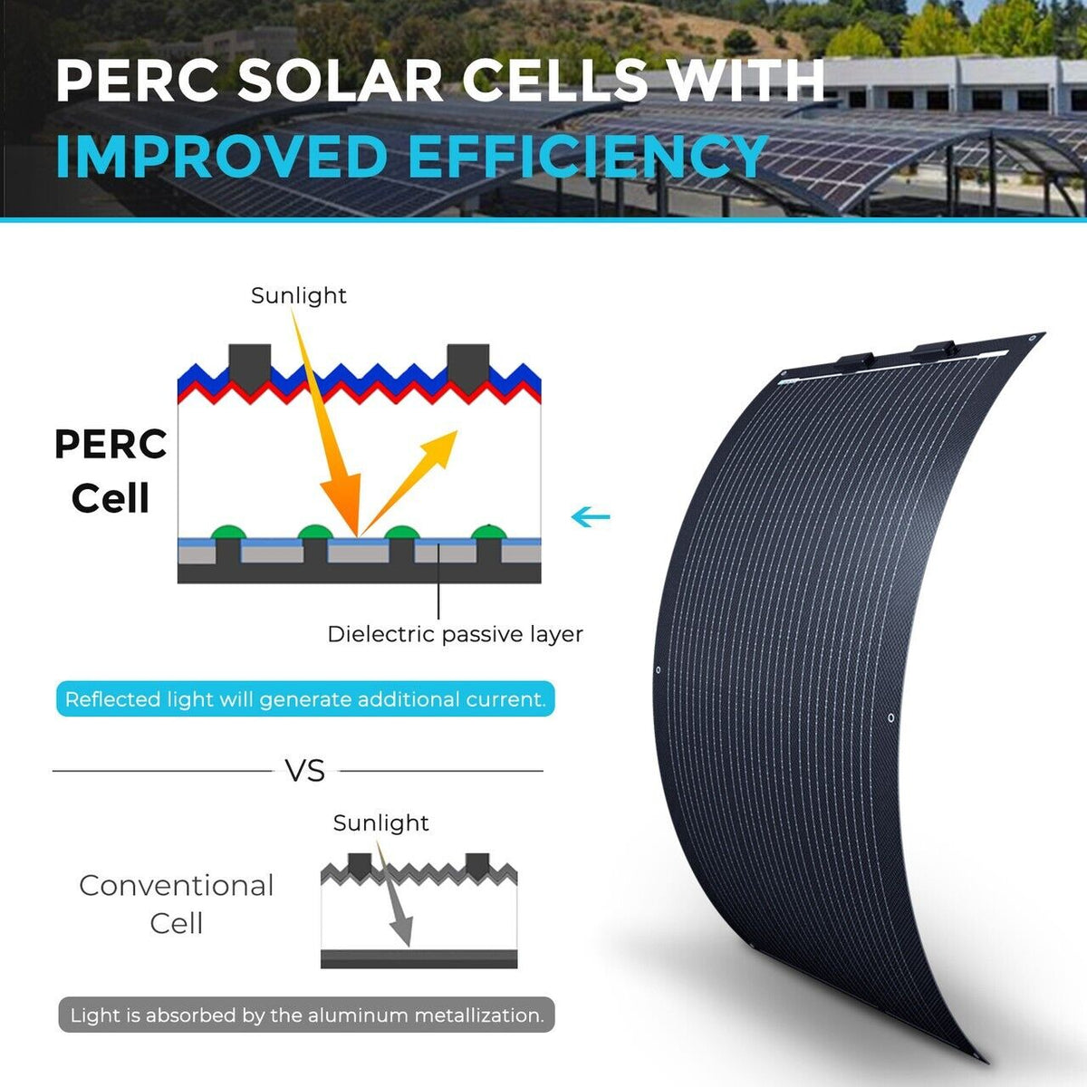 Renogy 100 Watt 12 Volt Black Division Ultra Lightweight MonoC Flex Solar Panel - Poptop World 
