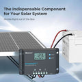 Renogy Wanderer 10A PWM Solar Charge Controller Common Negative Regulator W/ LCD - Poptop World 