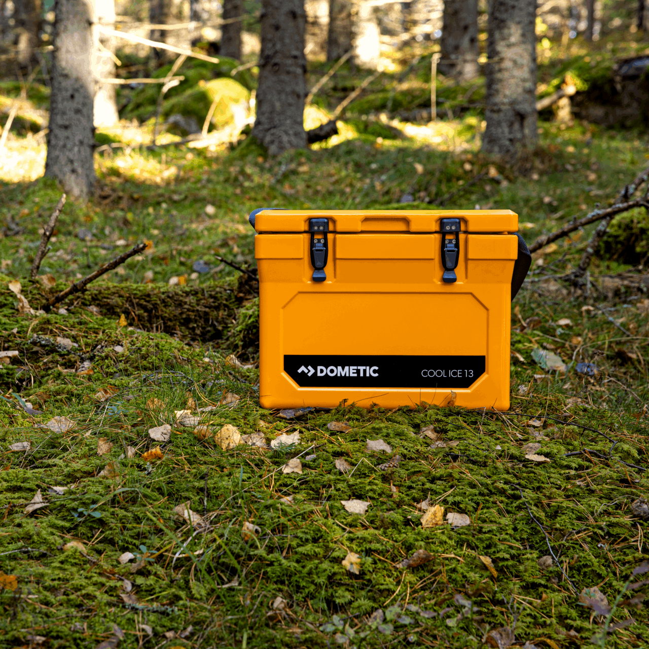 DOMETIC COOL-ICE WCI 13 Insulated Ice Chest - Poptop World 